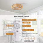 Ganeed Caged Ceiling Fan with Lights Industrial Style