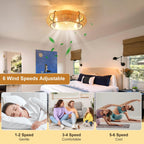 Ganeed Caged Ceiling Fan with Lights Industrial Style