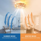Ganeed Caged Ceiling Fan with Lights Industrial Style