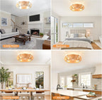 Ganeed Caged Ceiling Fan with Lights Industrial Style