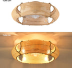 Ganeed Caged Ceiling Fan with Lights Industrial Style