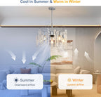 Ganeed Caged Ceiling Fan with Lights Industrial Style