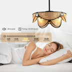 Ganeed Caged Ceiling Fan with Lights Industrial Style