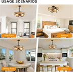 Ganeed Caged Ceiling Fan with Lights Industrial Style