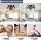 Ganeed Caged Ceiling Fan with Lights Industrial Style