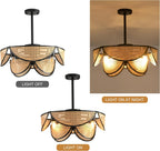 Ganeed Caged Ceiling Fan with Lights Industrial Style
