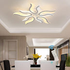 Ganeed LED Ceiling Light Fixture with Remote Control