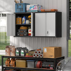 Garage Locking Cabinet 13” H Storage Wall Mounted