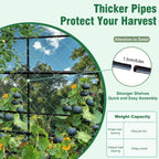 Garden Arch Trellis for Climbing Plants