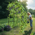 Garden Arch Trellis for Climbing Plants