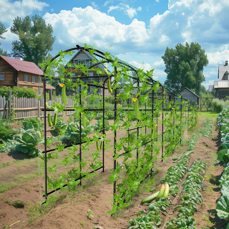 Garden Arch Trellis for Climbing Plants