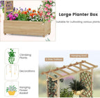 Garden Bed with Arch Trellis