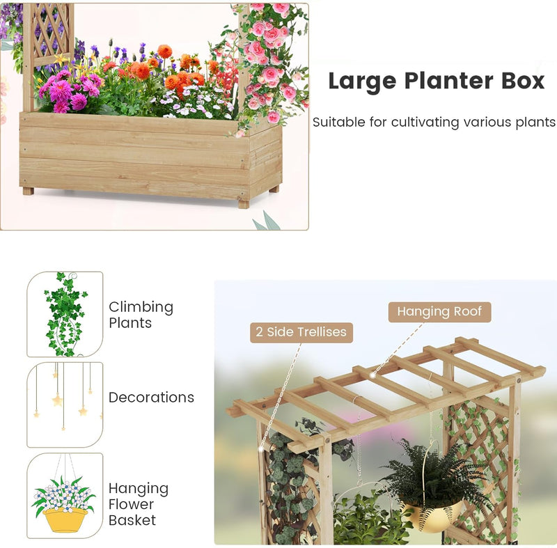 Garden Bed with Arch Trellis