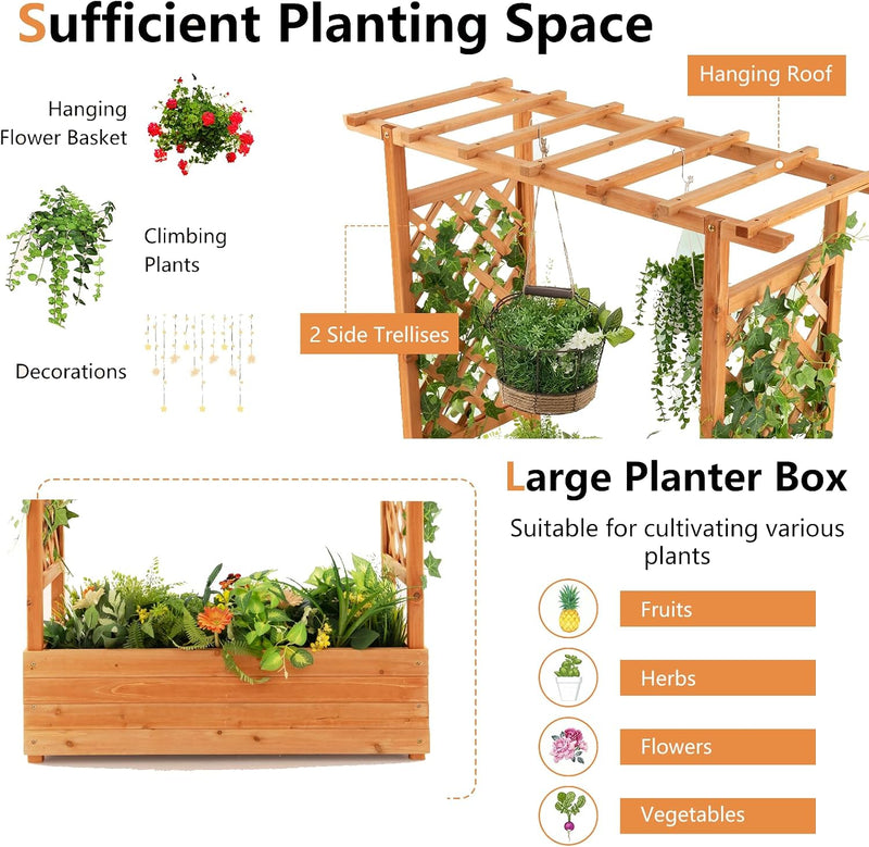 Garden Bed with Arch Trellis