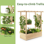 Garden Bed with Arch Trellis