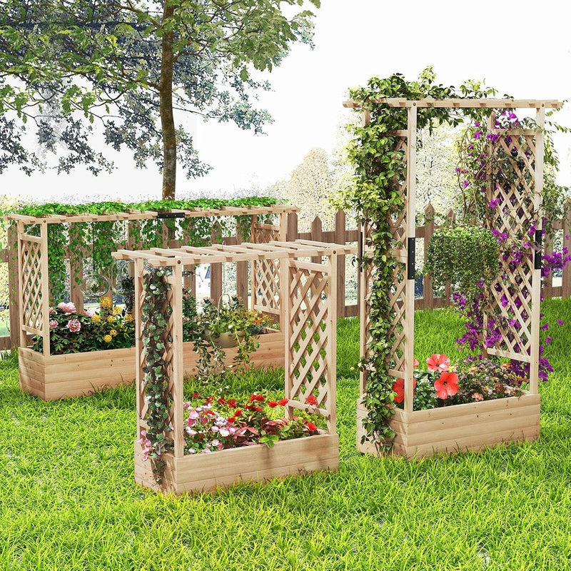Garden Bed with Arch Trellis