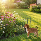 Garden Home 0.65mx25m Border Fence 3.5MM Wire Diameter