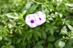 Bird Netting 2.3m X 30m