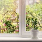Garden Trellis 150 X 50CM Metal Support (Set of 2)