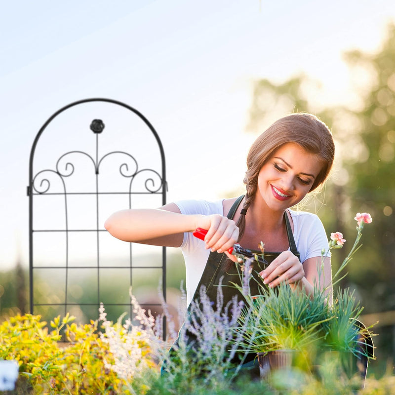 Garden Trellis 180 X 50CM Support (Set of 2)