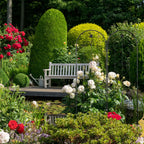 Garden Trellis 180 X 50CM Support (Set of 2)