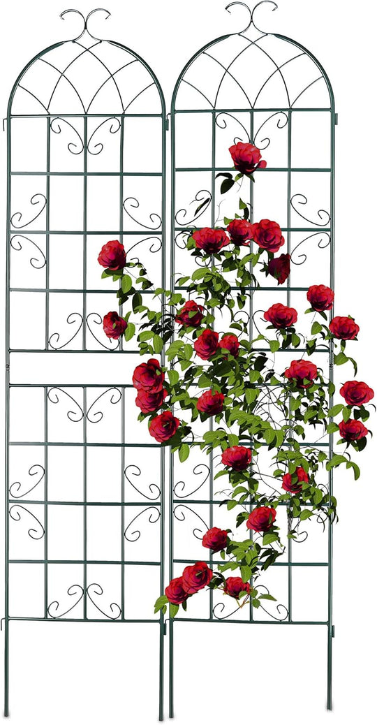 Garden Trellis 220 X 50CM Metal Support (Set of 2)