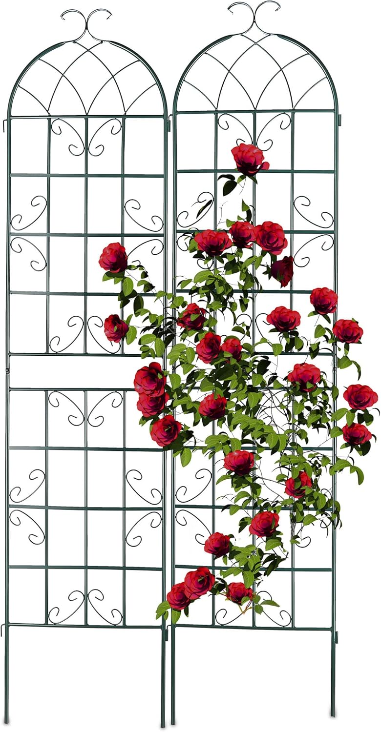 Garden Trellis 220 X 50CM Metal Support (Set of 2)
