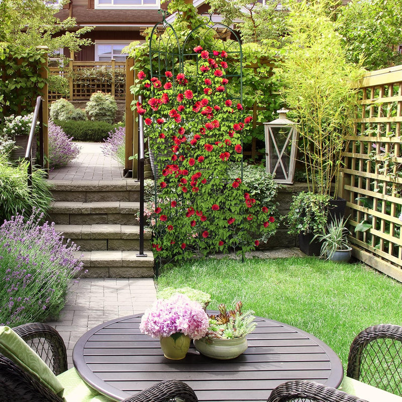 Garden Trellis 220 X 50CM Metal Support (Set of 2)