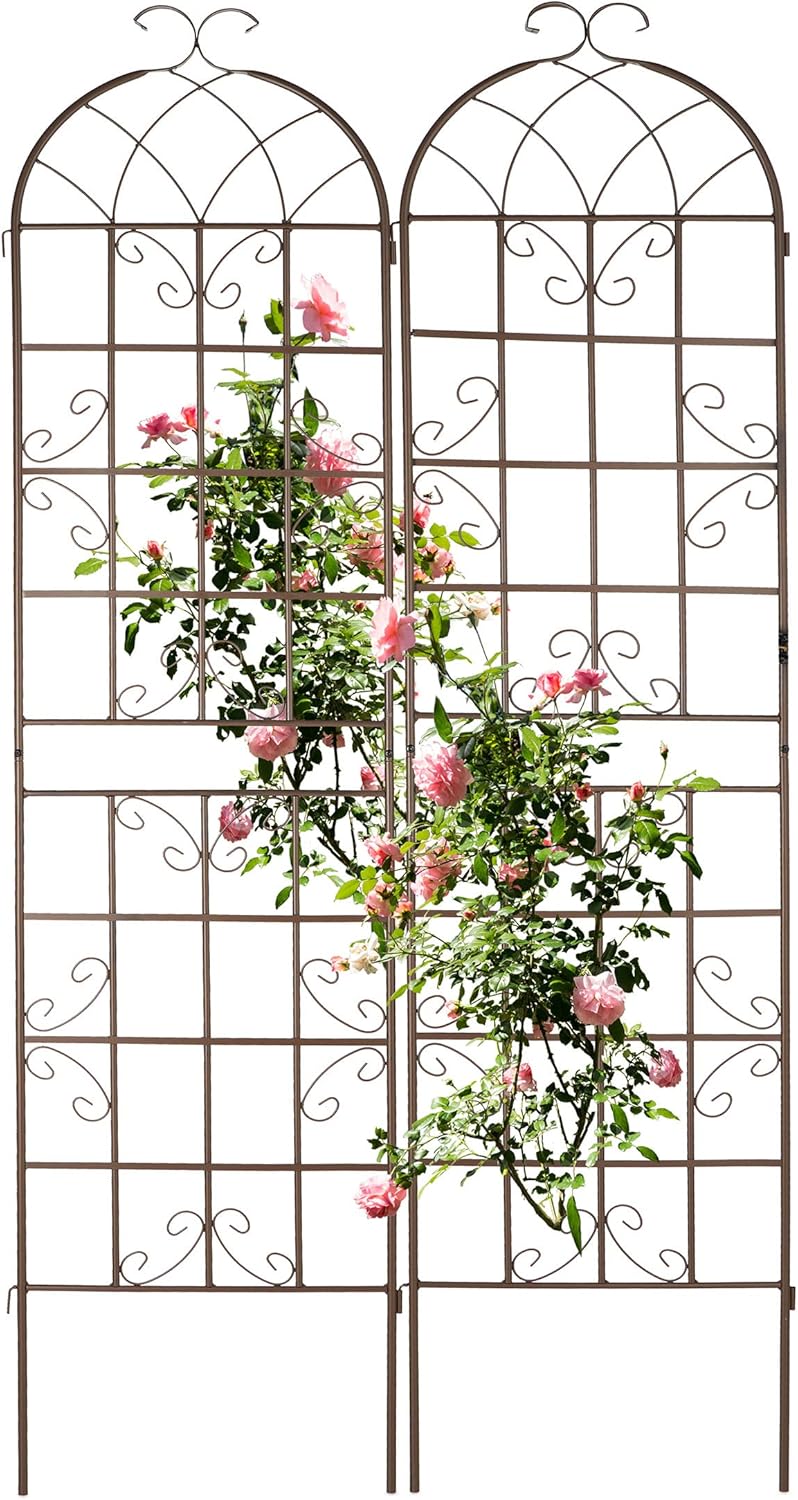 Garden Trellis 220 X 52CM Metal Support (Set of 2)