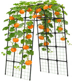 Garden Trellis Arch 210CM Pp-Coated Stainless Steel Metal