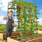 Garden Trellis Arch 210CM Pp-Coated Stainless Steel Metal