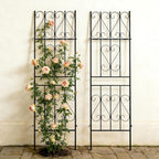 Garden Trellis for Climbing Plants (2 Pack)