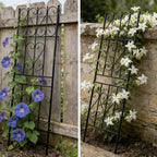 Garden Trellis for Climbing Plants (2 Pack)