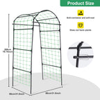 Garden Trellis for Climbing Plants Metal Arch Cucumber