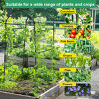 Garden Trellis for Climbing Plants Metal Arch Cucumber