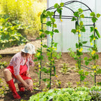 Garden Trellis for Climbing Plants Metal Arch Cucumber