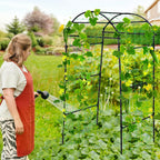 Garden Trellis for Climbing Plants Metal Arch Cucumber