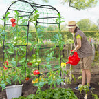 Garden Trellis for Climbing Plants Metal Arch Cucumber