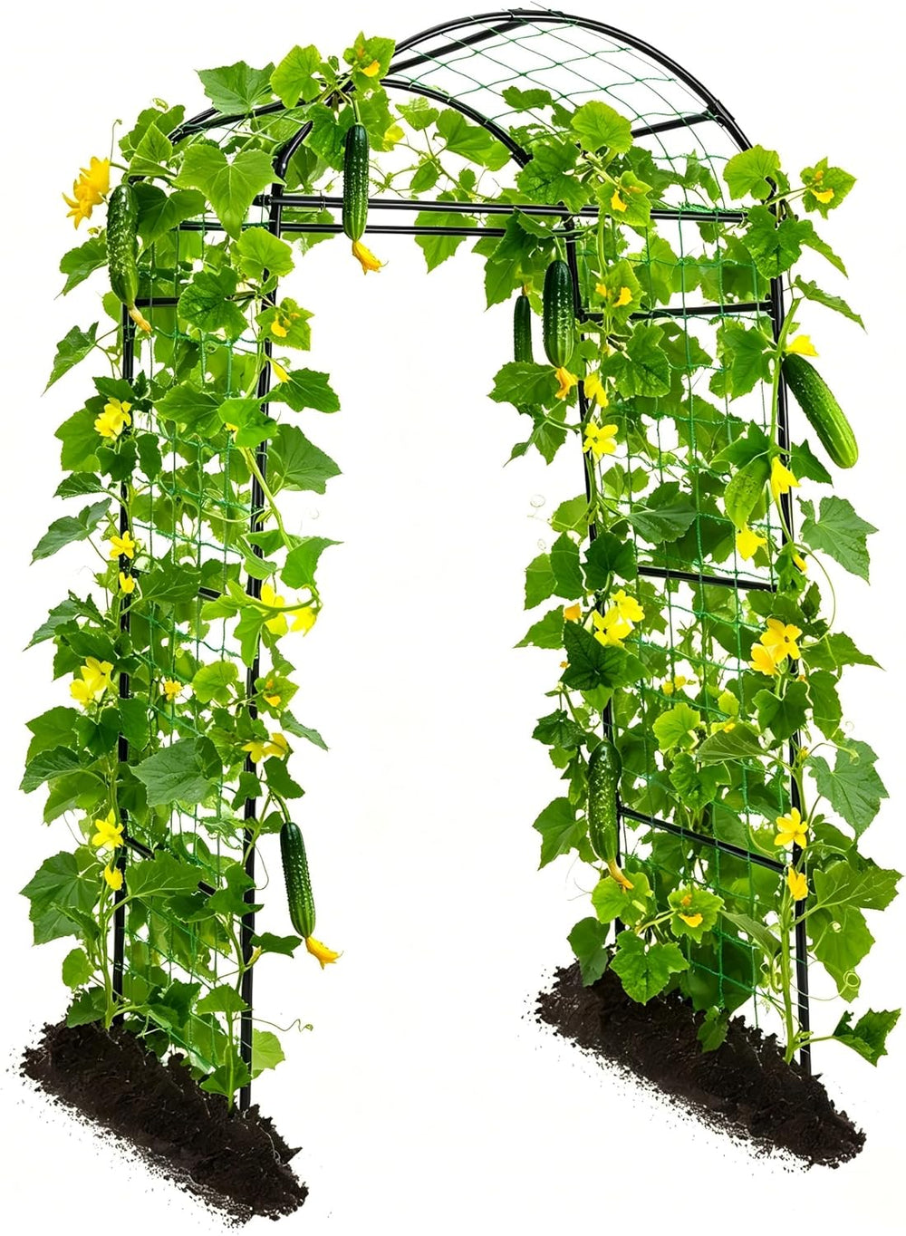 Garden Trellis for Climbing Plants Metal Arch Cucumber