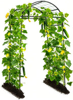 Garden Trellis for Climbing Plants Metal Arch Cucumber