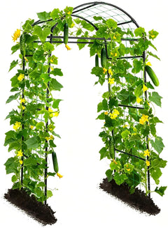 Trellises & Arches