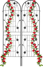 Garden Trellis Hxw 180 X 50CM Metal (Set of 2)