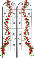 Garden Trellis Hxw 200 X 50CM Metal (Set of 2)