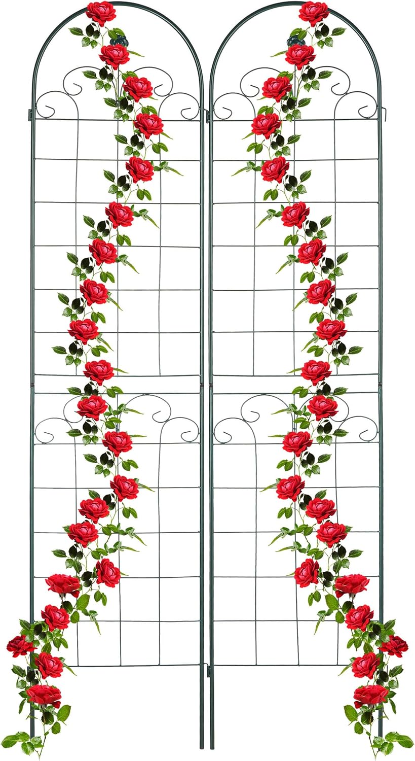 Garden Trellis Hxw 220 X 50CM Metal (Set of 2)