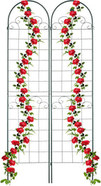 Garden Trellis Hxw 220 X 50CM Metal (Set of 2)