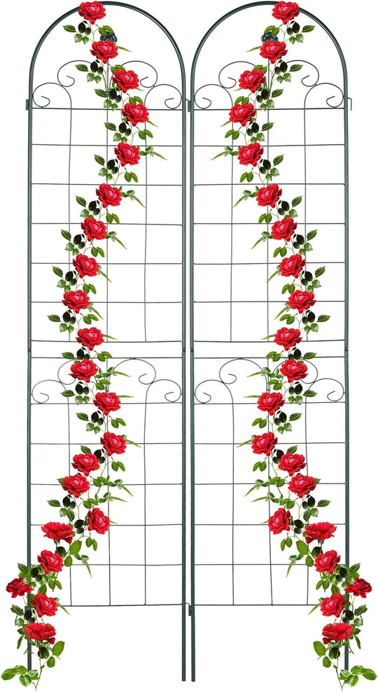 Garden Trellis Hxw 220 X 50CM Metal (Set of 2)