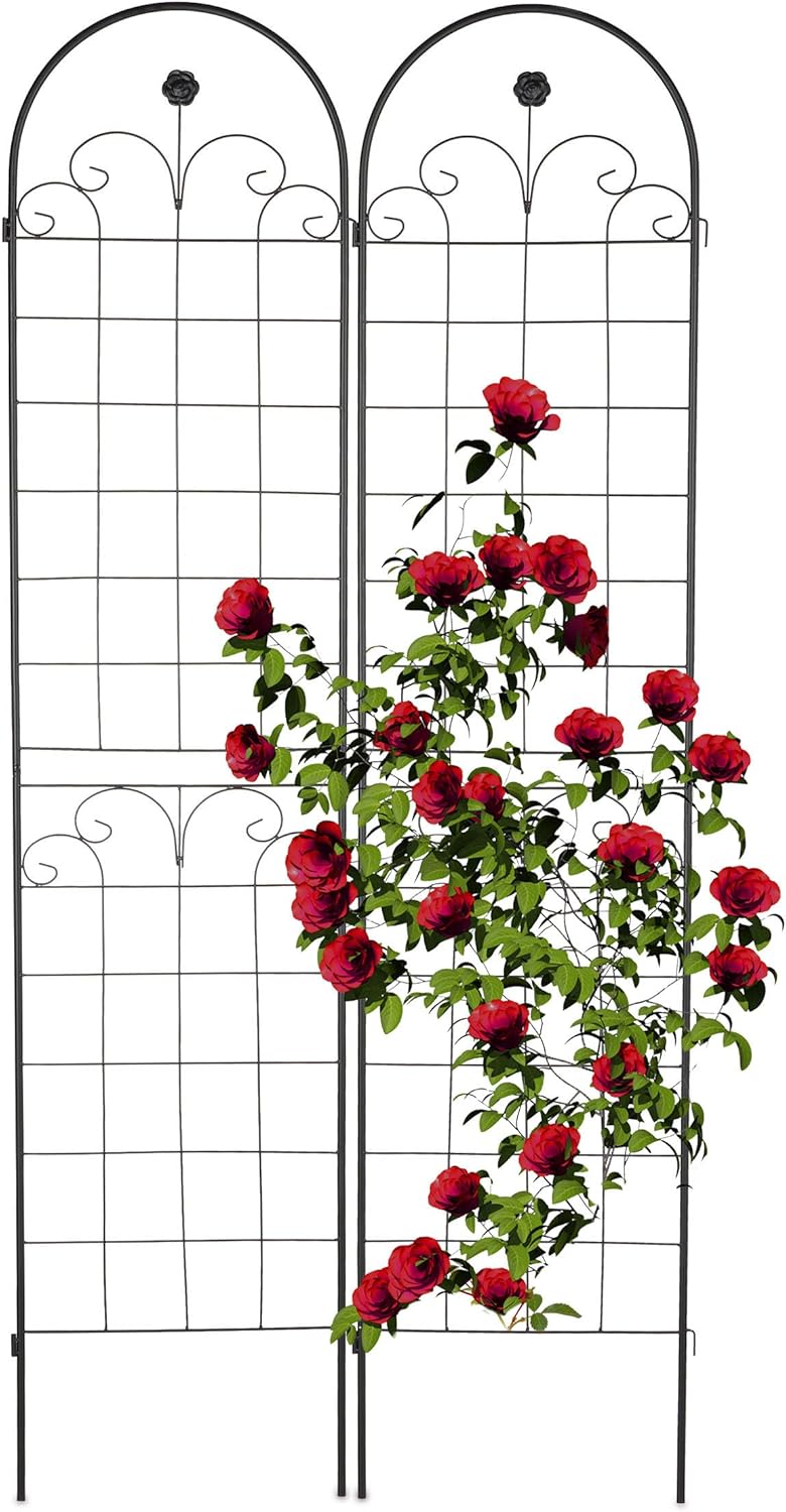 Garden Trellis Hxw 220 X 50CM Metal (Set of 2)