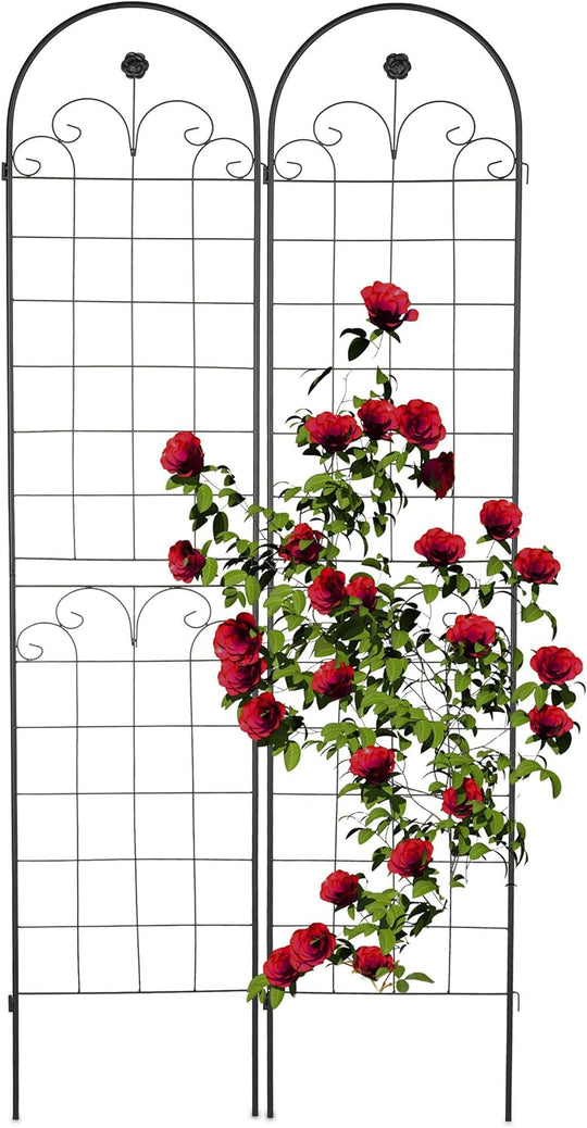 Garden Trellis Hxw 220 X 50CM Metal (Set of 2)