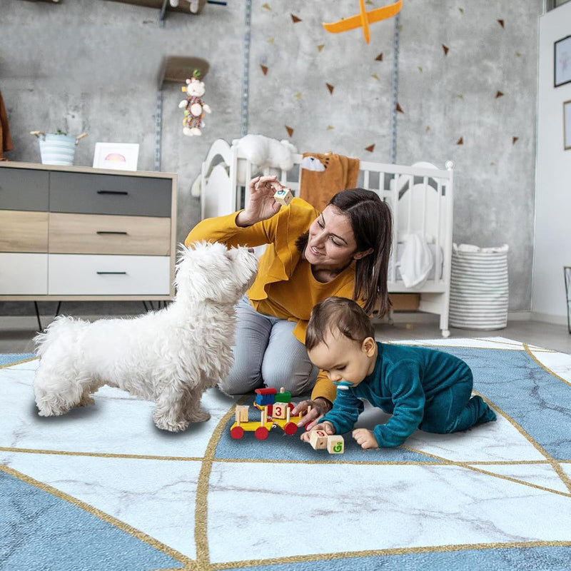 Geometric Area Rugs for Living Room Machine Washable
