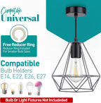 Giggi Cage Metal Basket Ceiling Light Shade Wrought